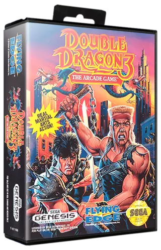 jeu Double Dragon 3 - The Arcade Game
